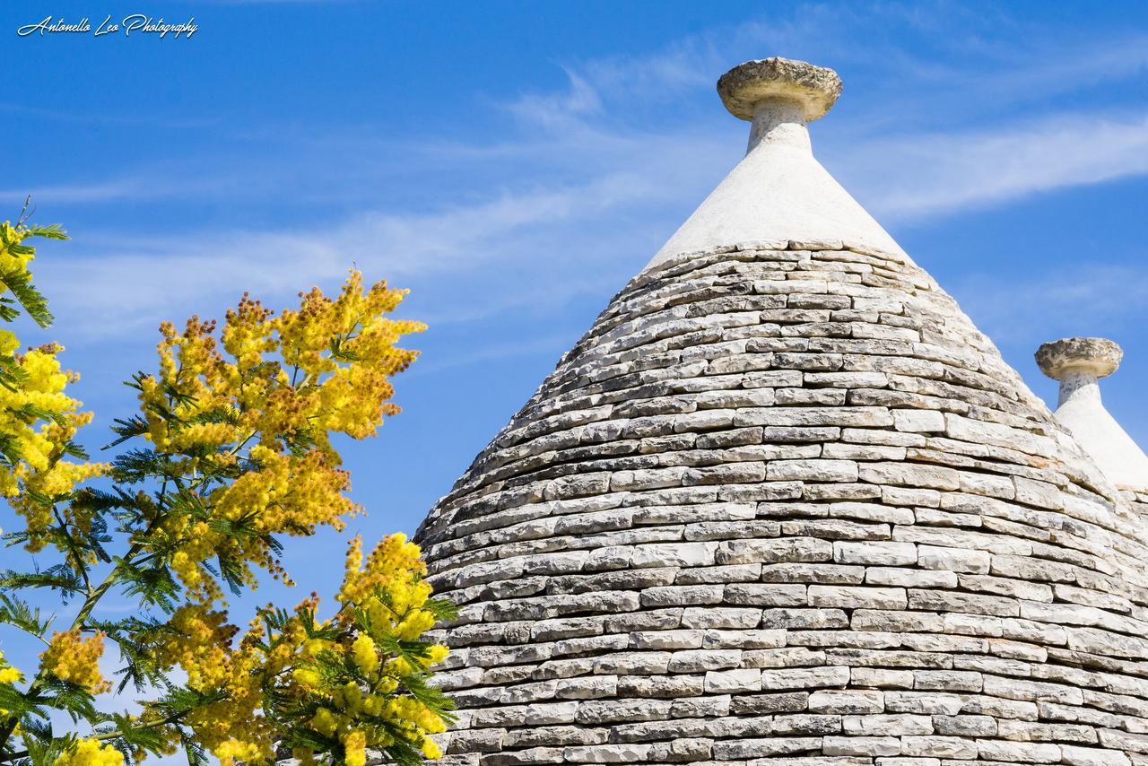 B&B Da Santino Alberobello Esterno foto
